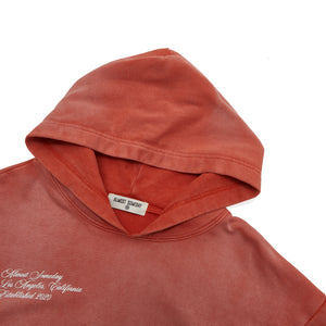 Signature Sun Faded Hoodie