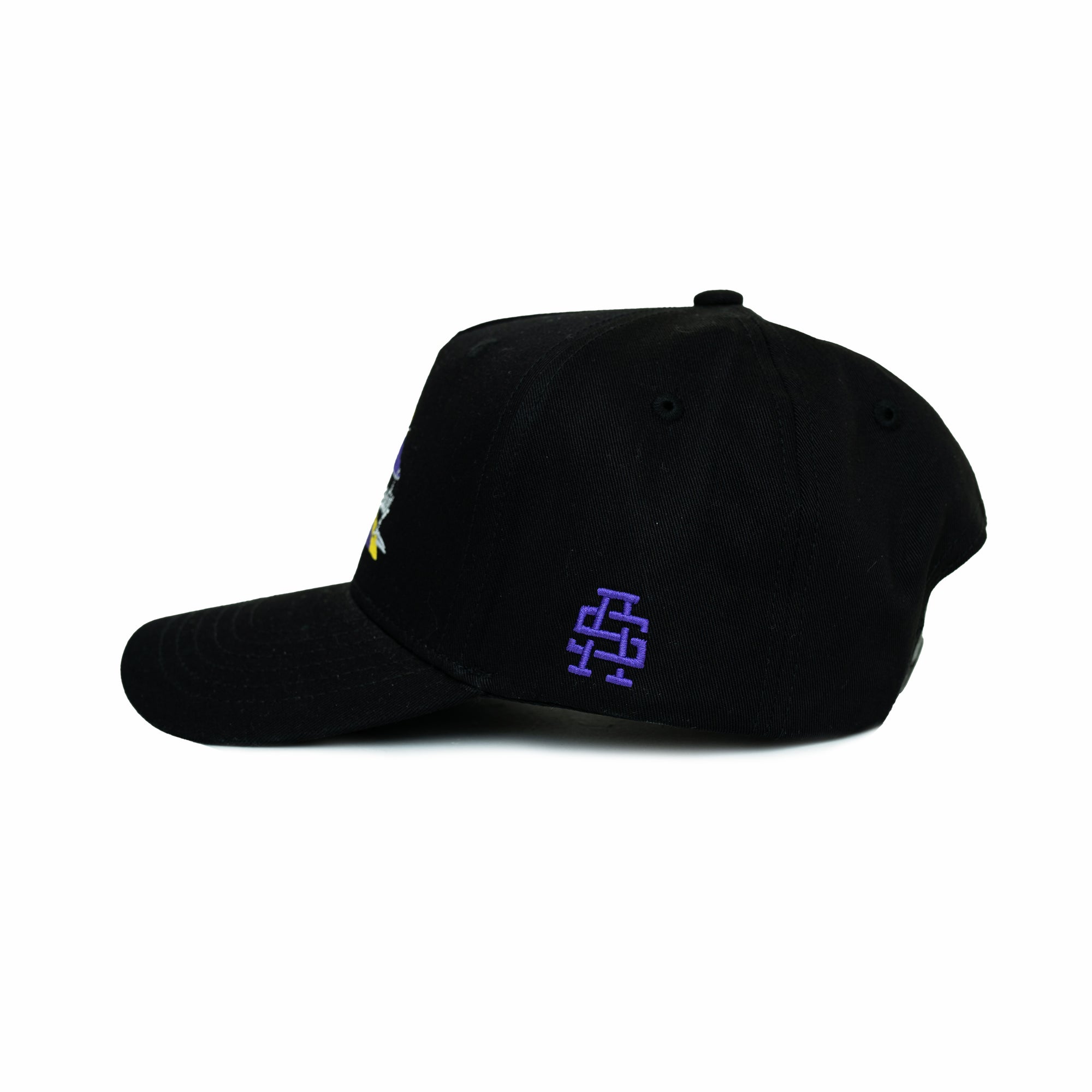 Peak Snapback Hat (Black)